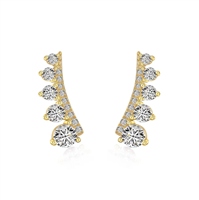 Pendientes Mujer in Plata Cubic Zirconia EHRWG01